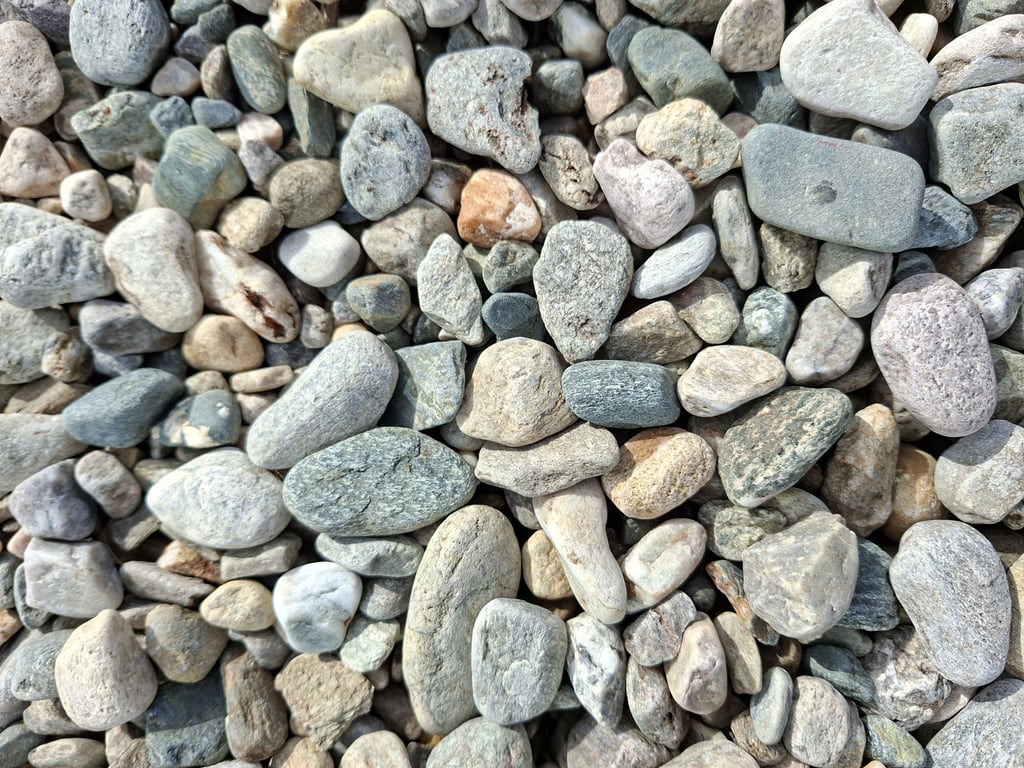 example picture taken with Samsung Galaxy A56