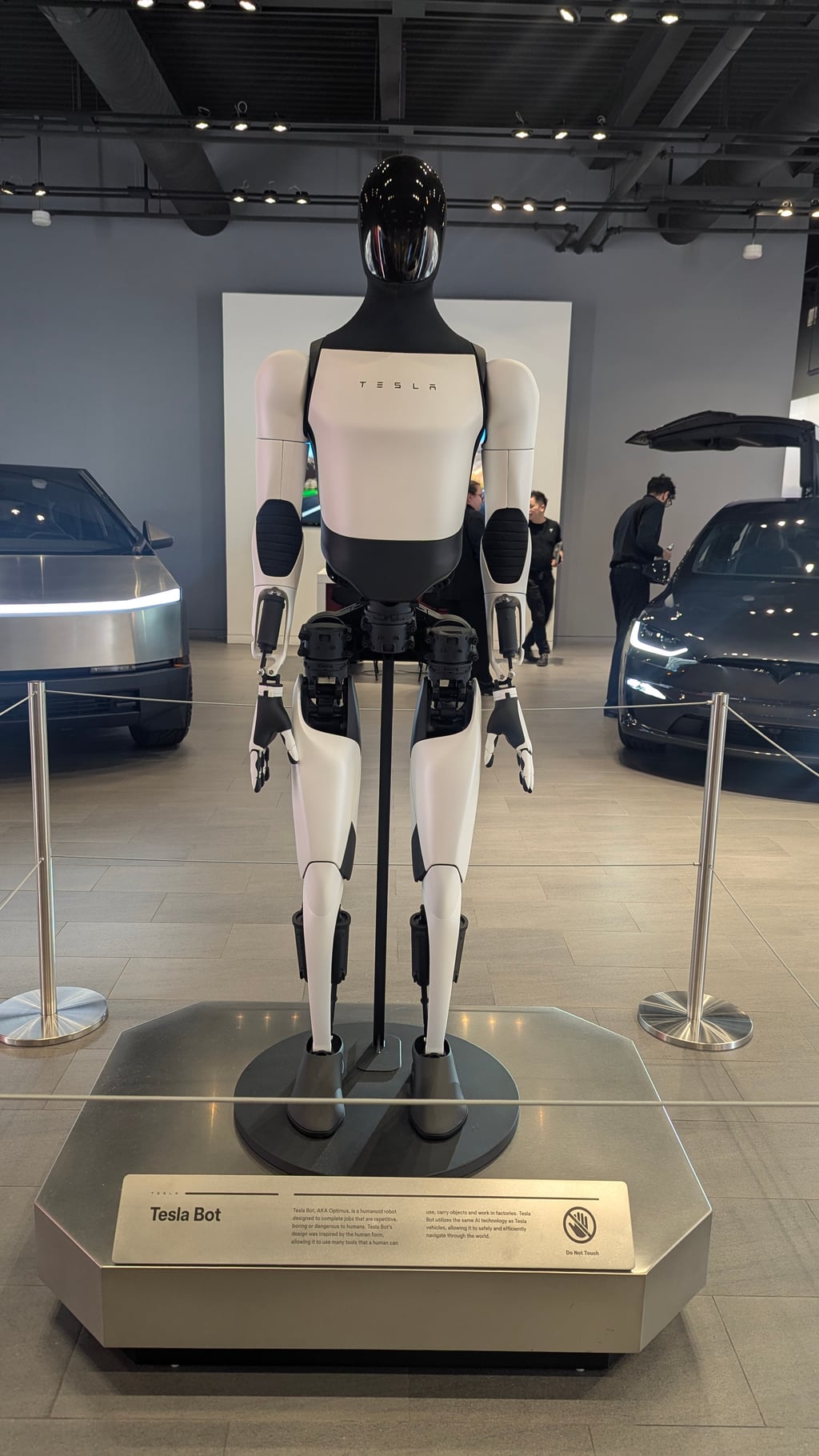 Hvit og sort Tesla Optimus-robot på en sokkel i en Tesla-butikk, med biler på hver side