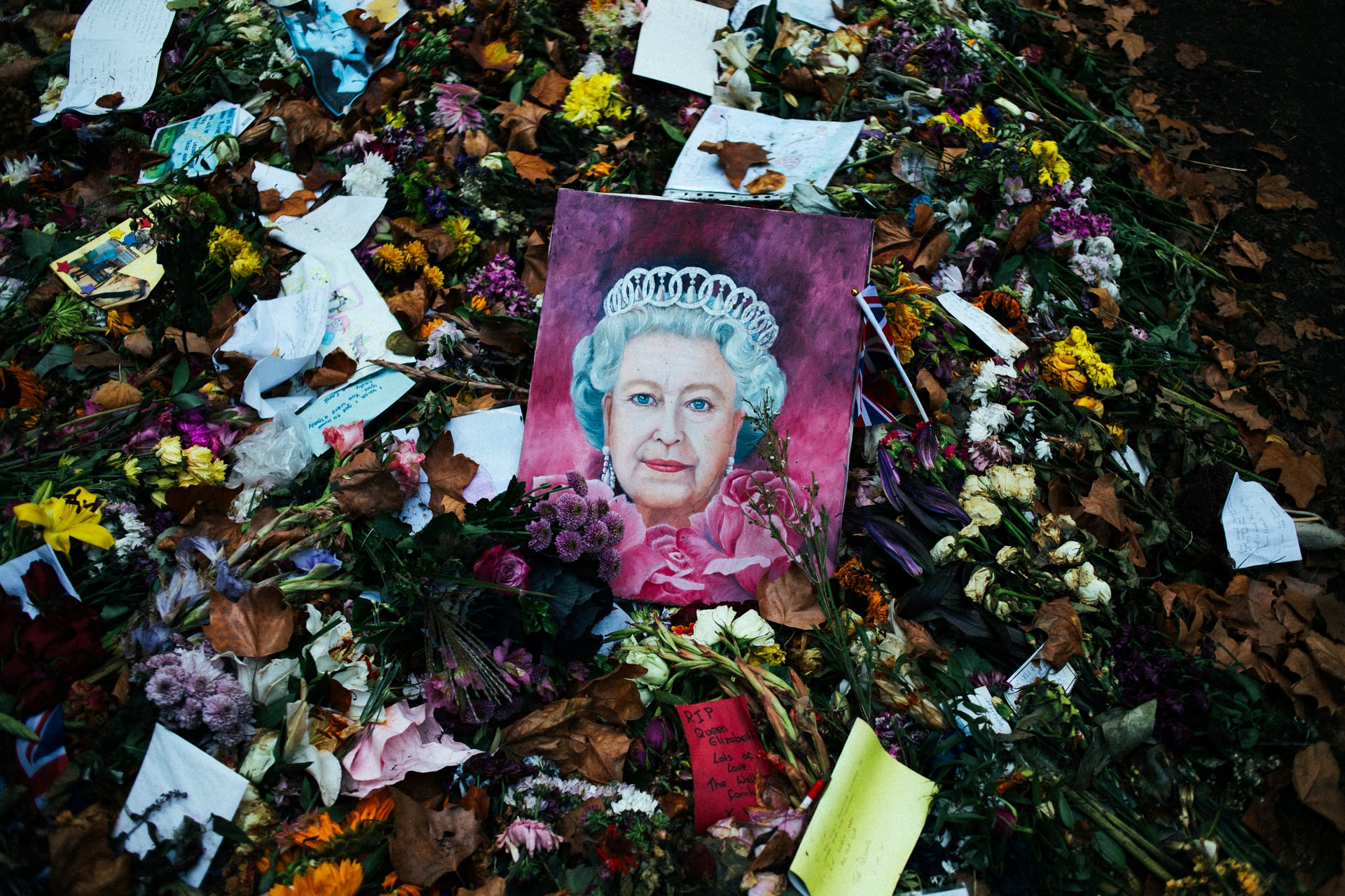 Malt portrett av dronning Elizabeth II blant blomster og hilsener i London