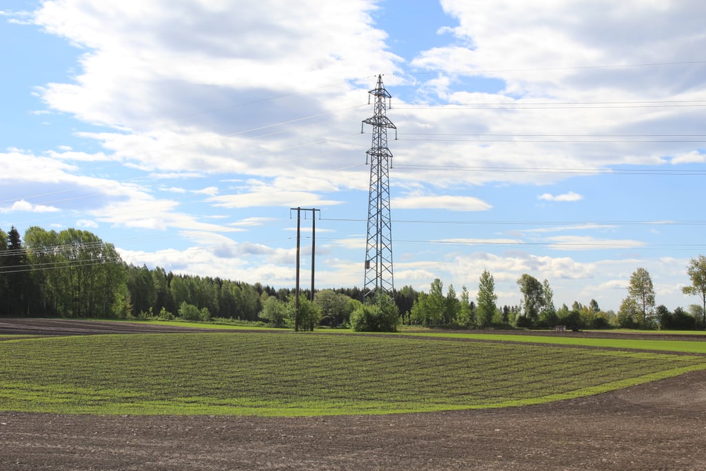 Høyspentmast med kraftlinjer over et norsk jorde med skog i bakgrunnen