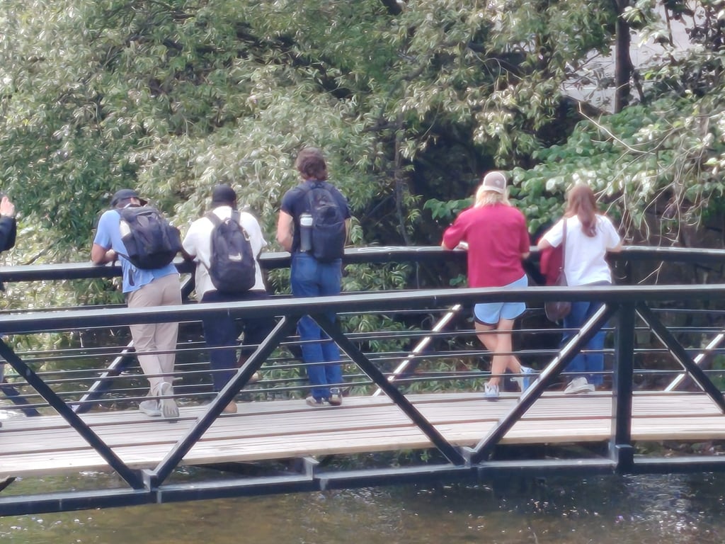 Mennesker på en bro fotografert på 10x zoom med Honor Magic8 Lite