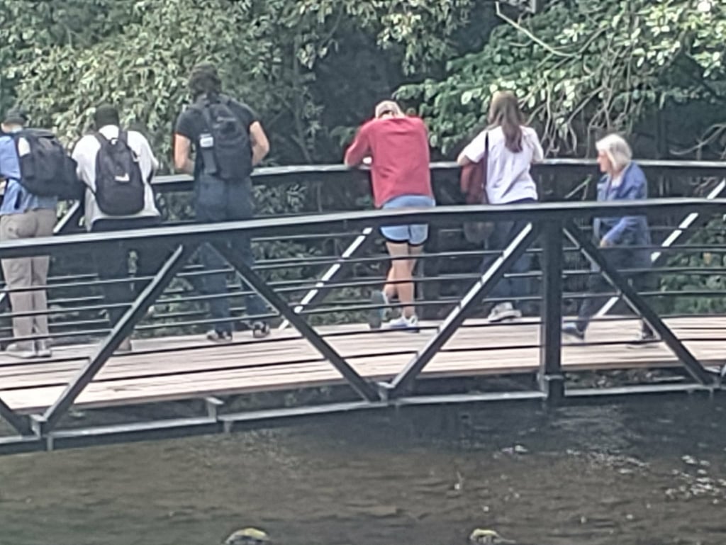 Samme bro og mennesker fotografert på 10x zoom med OnePlus