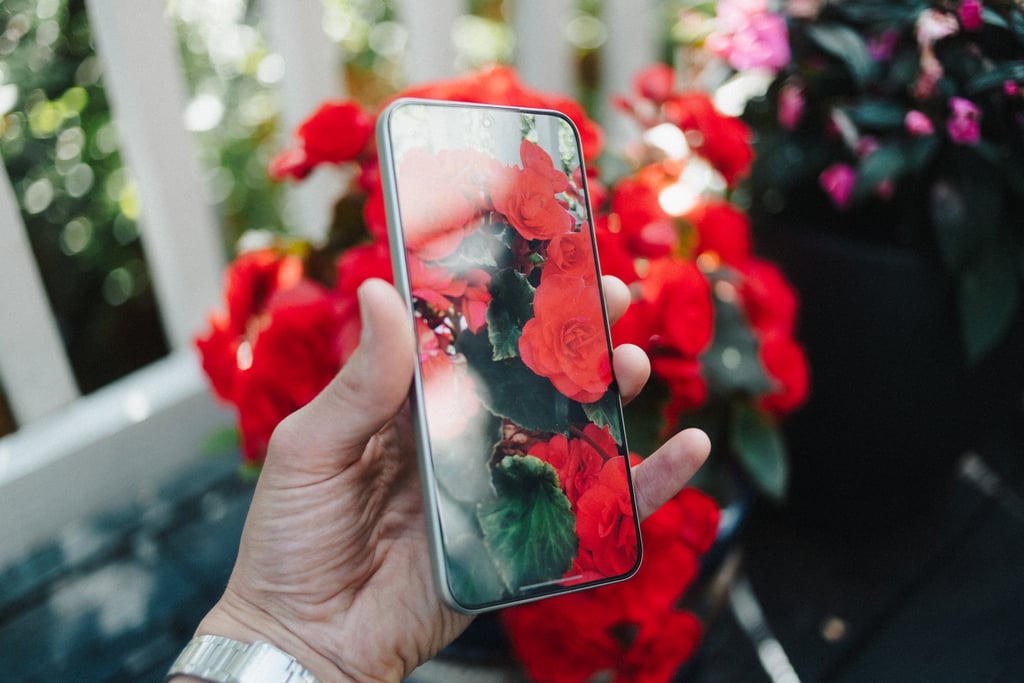 Honor Magic8 Lite fotografert bakfra med naturlige farger i skjerm og kamera