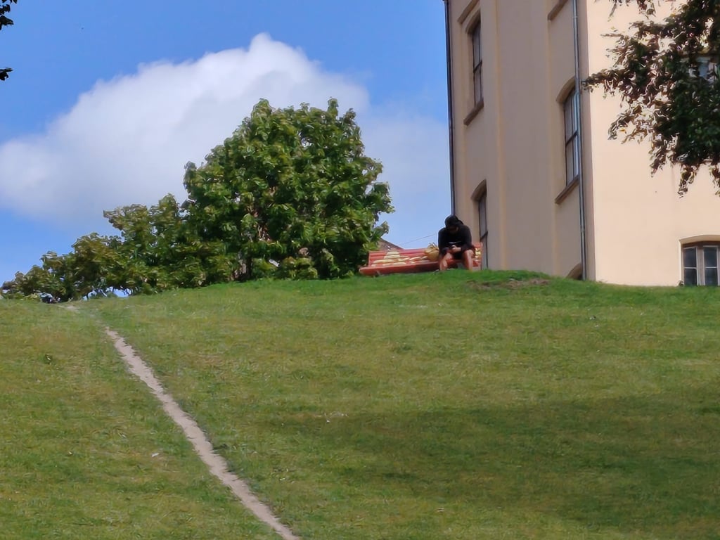 Mann i en park fotografert på 10x zoom med Honor Magic8 Lite
