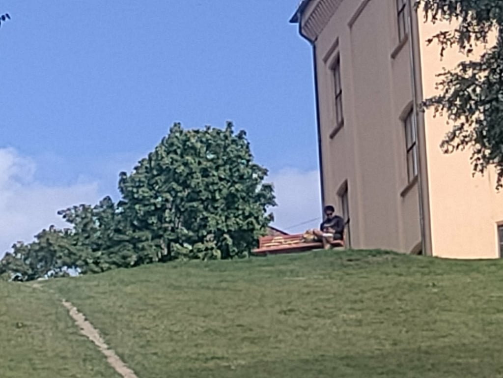 Samme mann i parken fotografert på 10x zoom med OnePlus