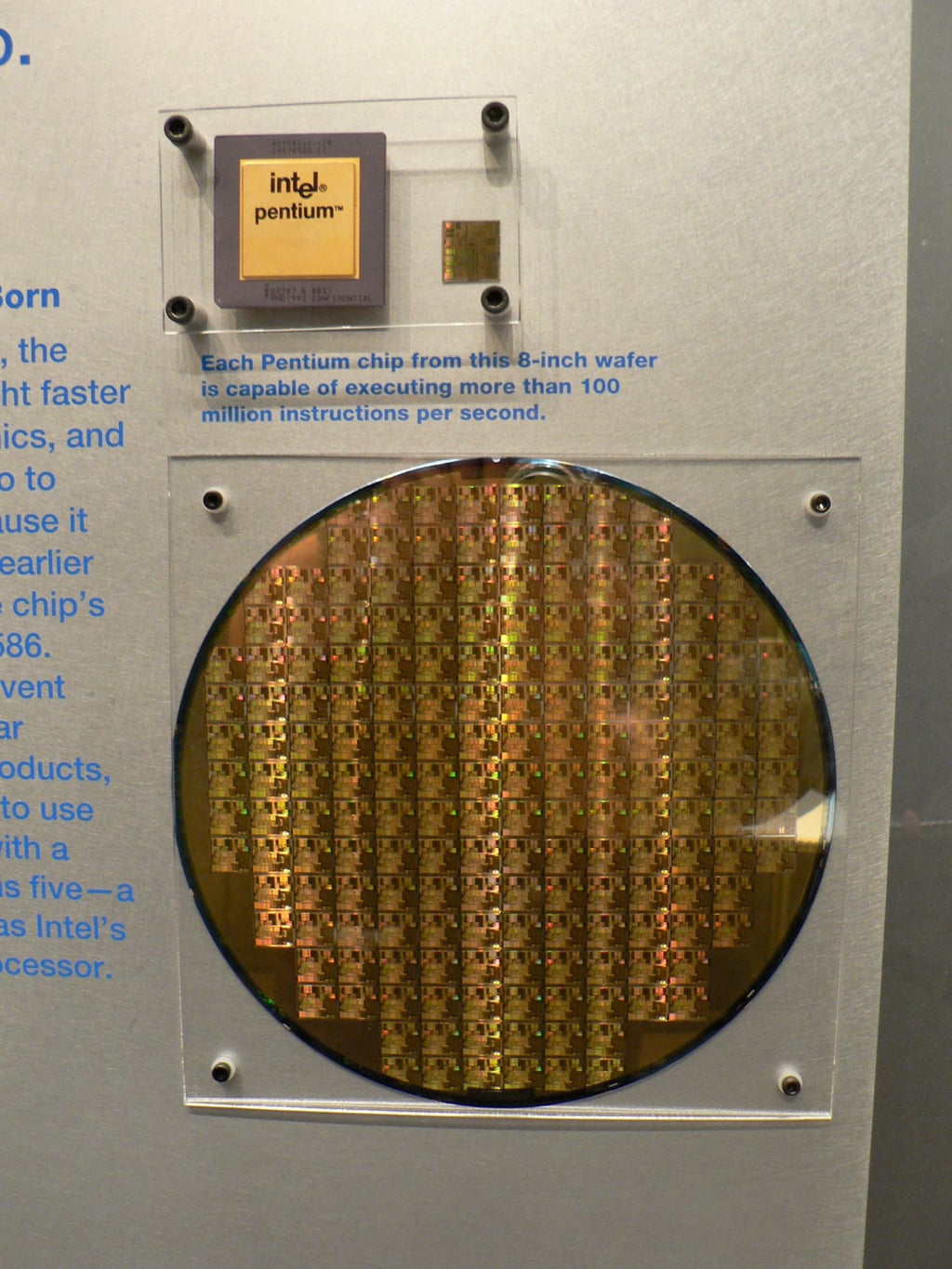 Silisiumwafer med databrikker