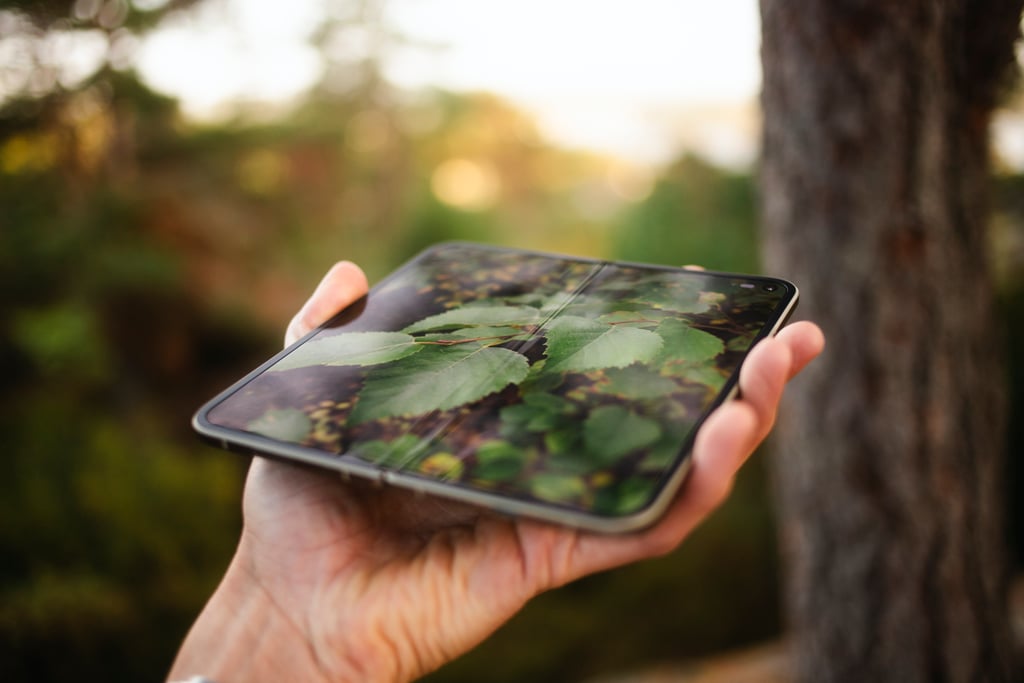 Google Pixel 11 Pro Fold holdt skrått i hånden med et grønt bjerkeblad på den utbrettede skjermen