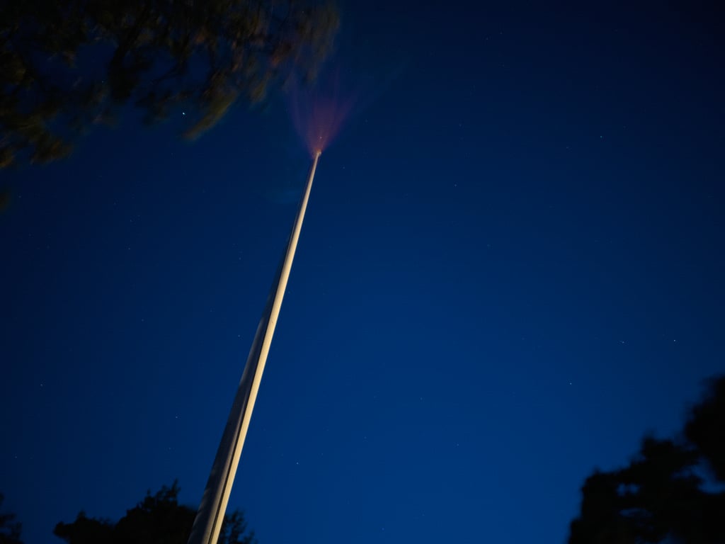 Flaggstang med svakt lys på toppen mot mørkeblå nattehimmel og trekroner