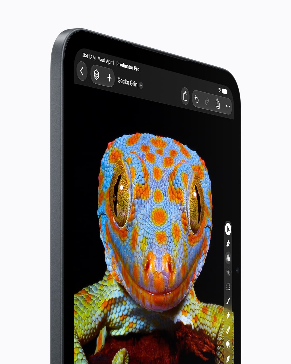 Nærbilde av OLED-skjermen på iPad mini med et detaljert bilde av en gekko