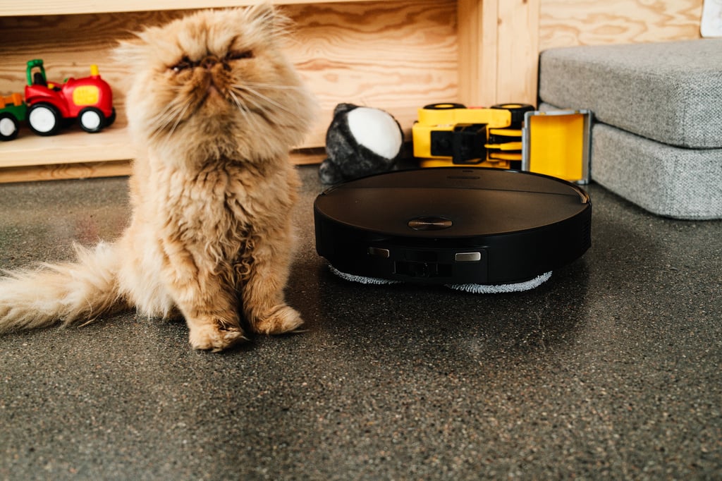 En perserkatt sitter ved siden av Roborock Saros 20 Neo foran en hylle med leker