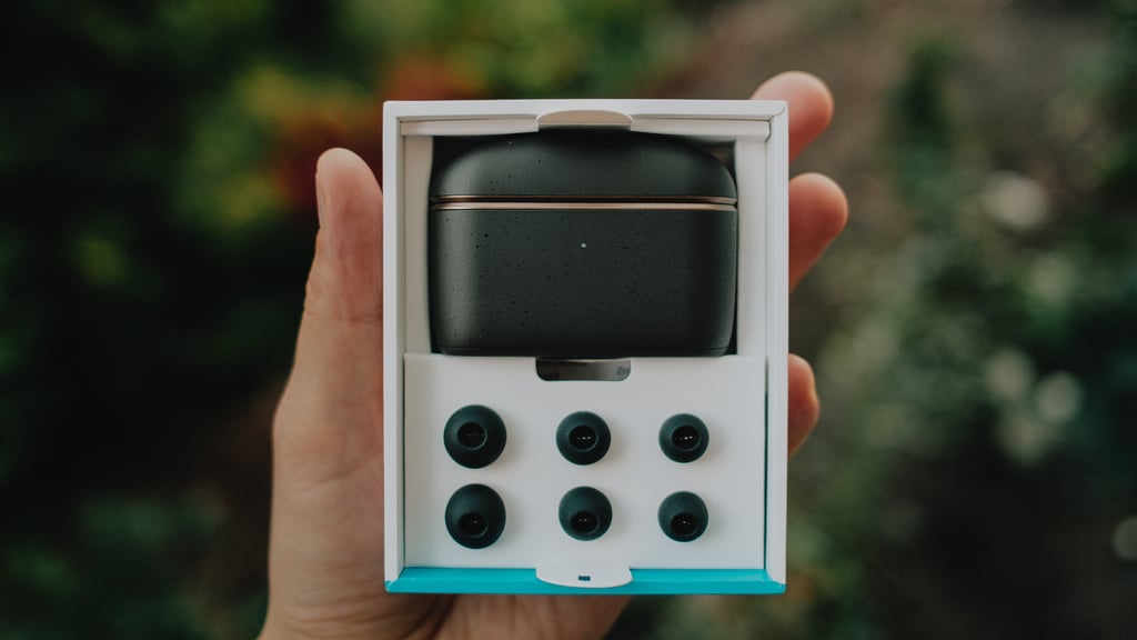 Esken med etuiet og tre ekstra par silikonpropper