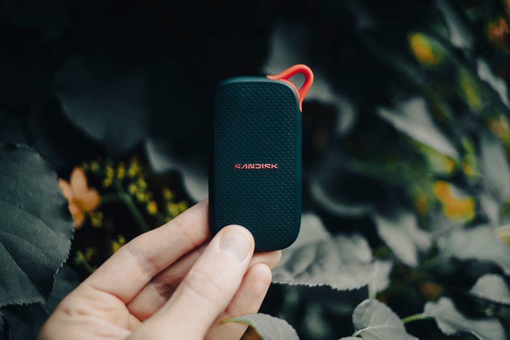 Sandisk Portable SSD holdt opp i en hånd foran grønne blader, med den røde løkken øverst